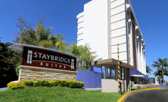 Staybridge Suites Guadalajara Expo
