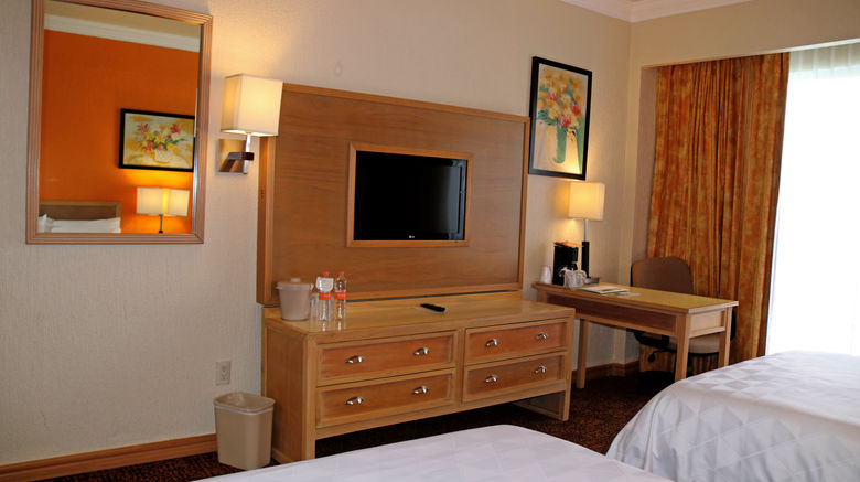<b>Holiday Inn La Piedad Room</b>. Images powered by <a href="https://www.leonardoworldwide.com/" title="Leonardo Worldwide" target="_blank">Leonardo</a>.