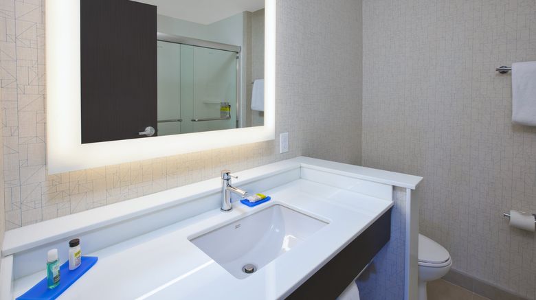 <b>Holiday Inn Express/Stes Auburn Hills S Room</b>. Images powered by <a href="https://www.leonardoworldwide.com/" title="Leonardo Worldwide" target="_blank">Leonardo</a>.