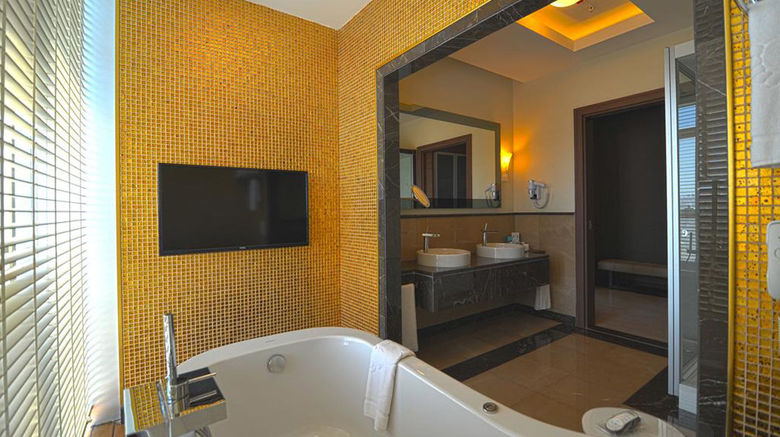 <b>Anemon Samsun Room</b>. Images powered by <a href="https://www.leonardoworldwide.com/" title="Leonardo Worldwide" target="_blank">Leonardo</a>.