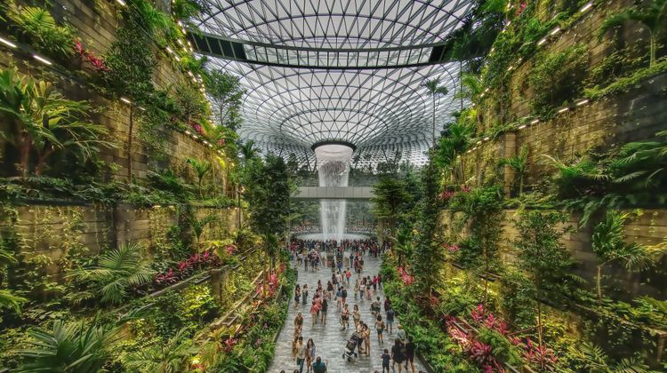 Crowne Plaza Changi Airport Other