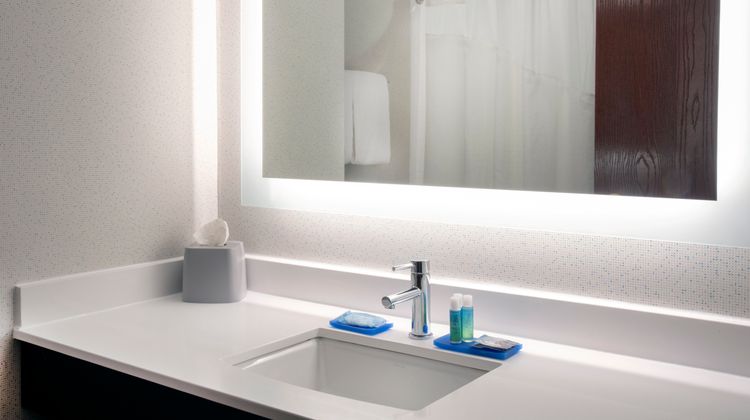 Holiday Inn Express Hotel & Suites Room