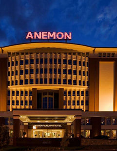 Anemon Malatya