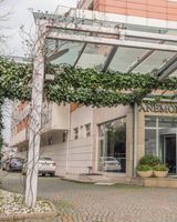Anemon Ordu
