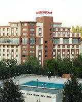 Anemon Manisa