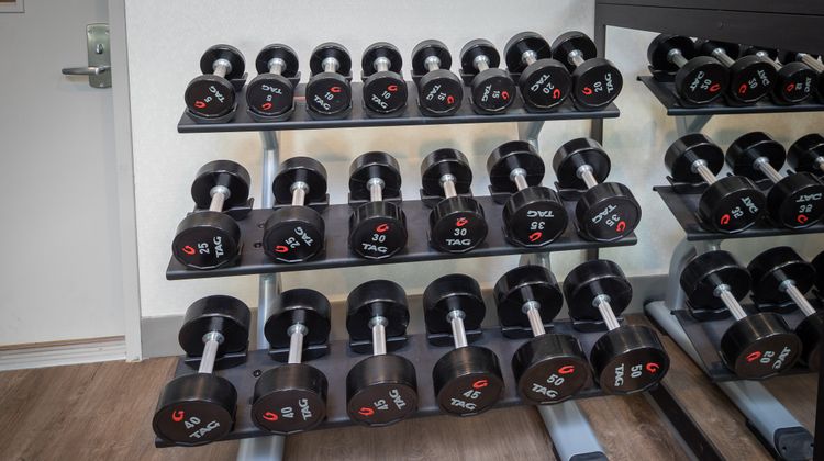 Holiday Inn Express Sunnyvale Health Club