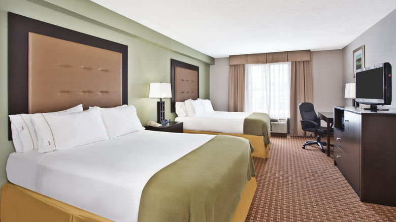<b>Holiday Inn Express Suites Room</b>. Images powered by <a href="https://www.leonardoworldwide.com/" title="Leonardo Worldwide" target="_blank">Leonardo</a>.