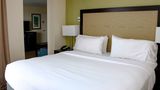Holiday Inn Downtown Marina Suite