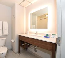 Holiday Inn Express Hotel & Suites Room