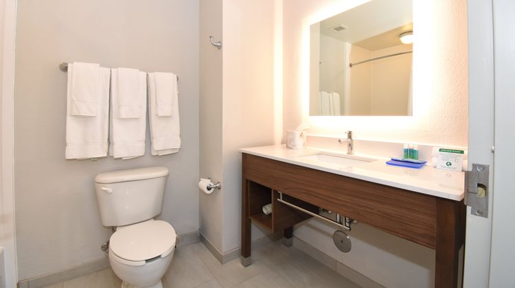 Holiday Inn Express Hotel & Suites Room