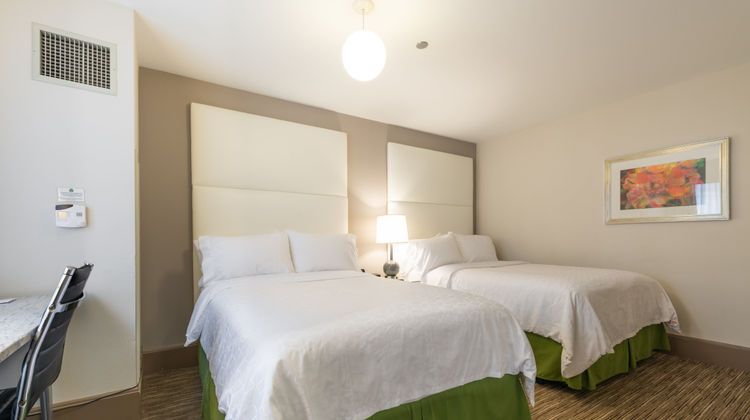 Holiday Inn Express Magnificent Mile Room