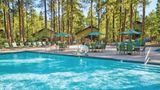 <b>Worldmark Pinetop Room</b>. Images powered by <a href="https://www.leonardoworldwide.com/" title="Leonardo Worldwide" target="_blank">Leonardo</a>.