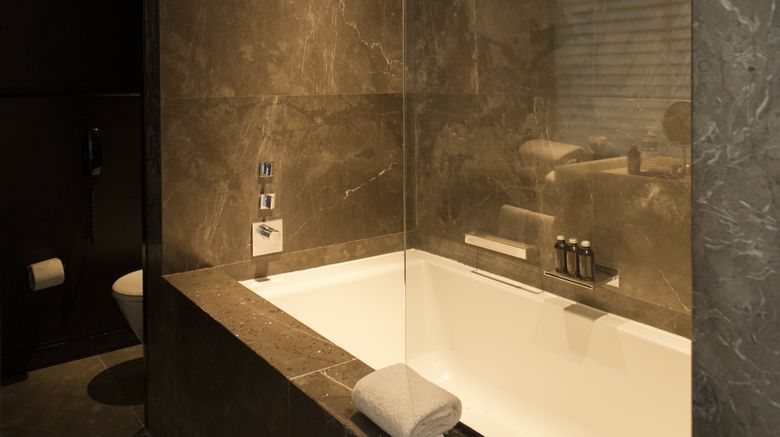 <b>Hotel Habita Monterrey, a Design Hotel Room</b>. Images powered by <a href="https://www.leonardoworldwide.com/" title="Leonardo Worldwide" target="_blank">Leonardo</a>.