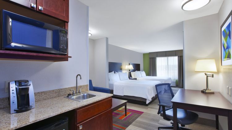 Holiday Inn Express & Suites Niles Suite
