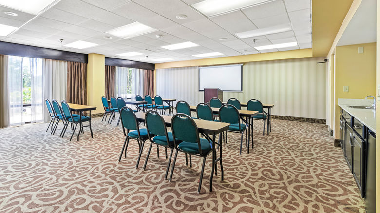 <b>Holiday Inn St. Petersburg West Meeting</b>. Images powered by <a href="https://www.leonardoworldwide.com/" title="Leonardo Worldwide" target="_blank">Leonardo</a>.
