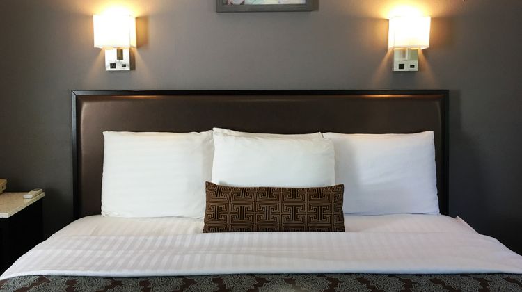 Scottish Inn Room