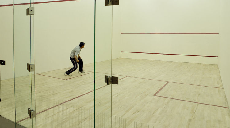 The Lodhi Recreation