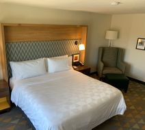 Holiday Inn Baton Rouge-South Room
