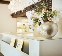 Hotel Uzwil Lobby