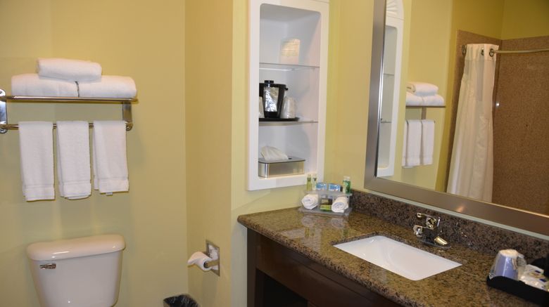 <b>Holiday Inn Express Hotel & Suites Dumas Room</b>. Images powered by <a href="https://www.leonardoworldwide.com/" title="Leonardo Worldwide" target="_blank">Leonardo</a>.