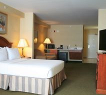 Holiday Inn Express Hotel & Suites Room