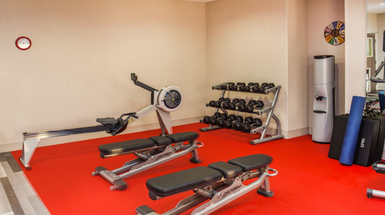 Holiday Inn Express/Suites Litchfield W Health Club