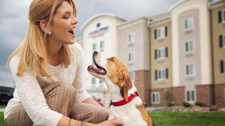 <b>Candlewood Suites Omaha - Millard Area Lobby</b>. Images powered by <a href="https://www.leonardoworldwide.com/" title="Leonardo Worldwide" target="_blank">Leonardo</a>.