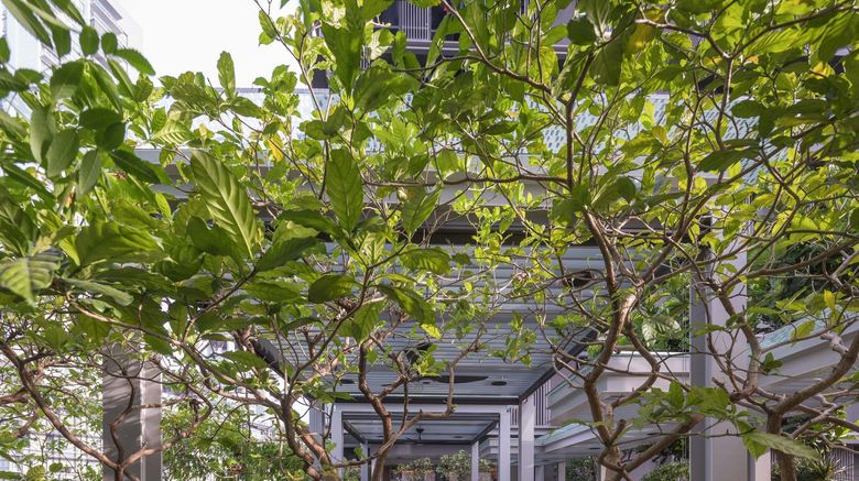 <b>Fraser Residence Orchard Restaurant</b>. Images powered by <a href="https://www.leonardoworldwide.com/" title="Leonardo Worldwide" target="_blank">Leonardo</a>.