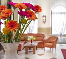 Hotel Grand Lobby