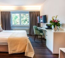 Hotel Polo Room