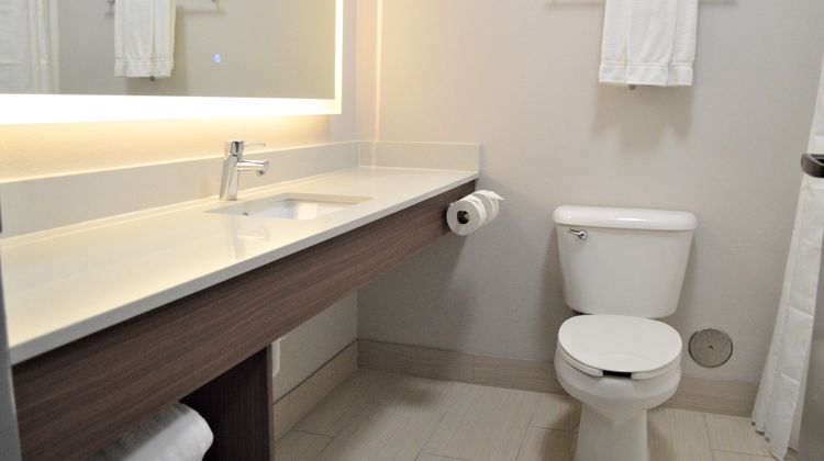 Holiday Inn Express & Suites Batesville Room
