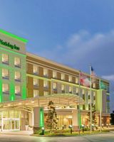 Holiday Inn Trustmark Park-Pearl
