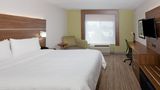Holiday Inn Express/Suites Dothan North Room