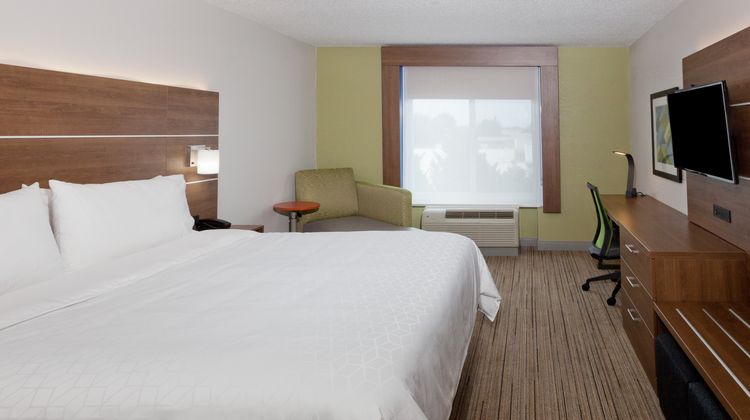 Holiday Inn Express/Suites Dothan North Room
