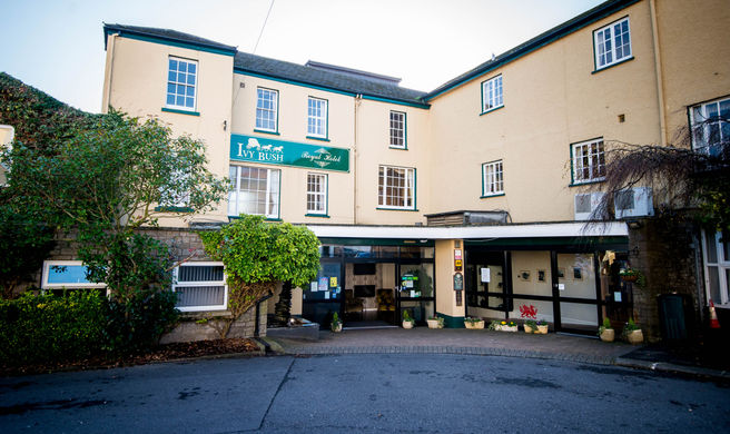 Ivy Bush Royal Hotel Exterior