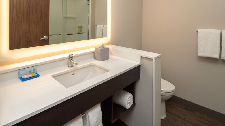 <b>Holiday Inn Express & Suites Camas Room</b>. Images powered by <a href="https://www.leonardoworldwide.com/" title="Leonardo Worldwide" target="_blank">Leonardo</a>.