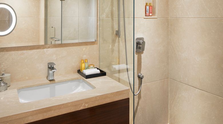 <b>President, Mumbai Room</b>. Images powered by <a href=https://www.travelagewest.com/Hotels/Mumbai/