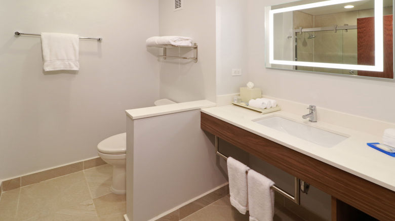 <b>Holiday Inn Express/Stes Ensenada Centro Room</b>. Images powered by <a href="https://www.leonardoworldwide.com/" title="Leonardo Worldwide" target="_blank">Leonardo</a>.