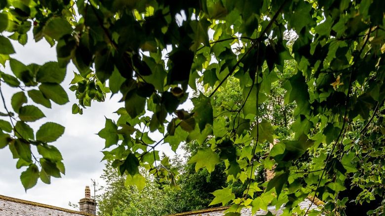 <b>Eshott Hall Exterior</b>. Images powered by <a href="https://www.leonardoworldwide.com/" title="Leonardo Worldwide" target="_blank">Leonardo</a>.
