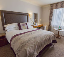 The Swan's Nest Room