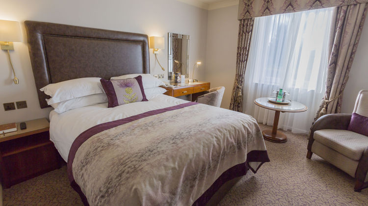 The Swan's Nest Room
