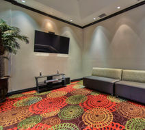 Holiday Inn Arlington-Northeast Lobby