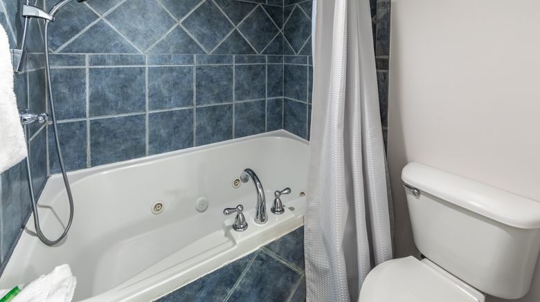 <b>Holiday Inn Club Vacations Panama City Room</b>. Images powered by <a href="https://www.leonardoworldwide.com/" title="Leonardo Worldwide" target="_blank">Leonardo</a>.