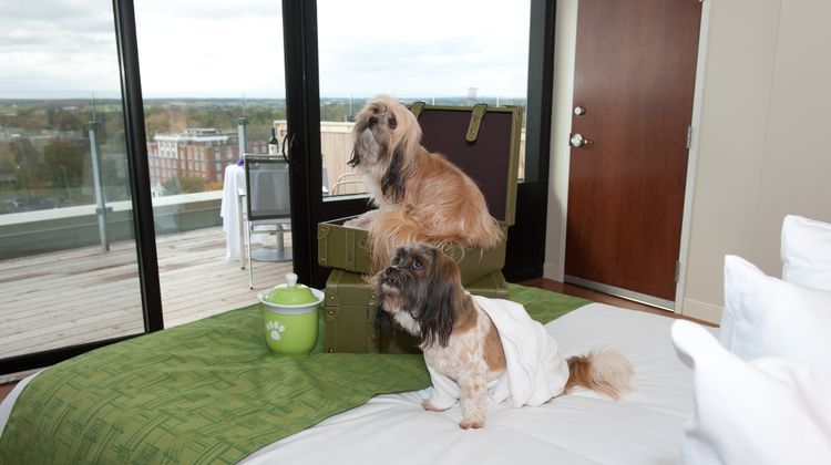 The Holman Grand Hotel Suite
