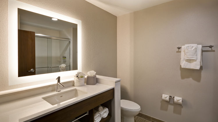 Holiday Inn Express-Suites Houston NASA Room