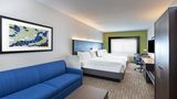 Holiday Inn Express Hotel & Suites Suite