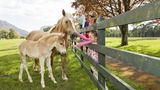 The Dunloe Hotel & Gardens Recreation