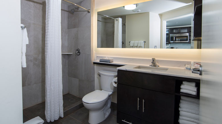 <b>Candlewood Suites Celaya Room</b>. Images powered by <a href="https://www.leonardoworldwide.com/" title="Leonardo Worldwide" target="_blank">Leonardo</a>.