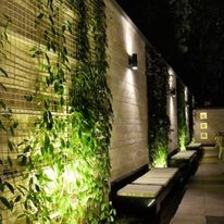 Zehneria Portico Hotel