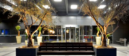 Holiday Inn Express Pachuca Exterior
